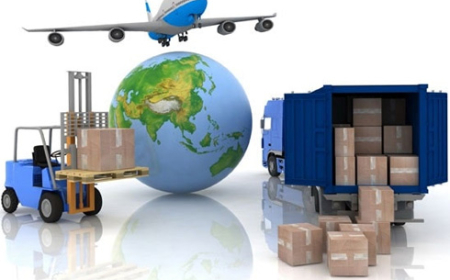 Giám định hàng hóa xuất nhập khẩu