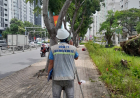 Quy định về quan trắc và trắc đạt công trình xây dựng thế nào?