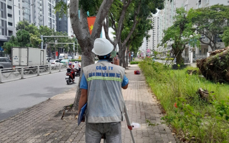 Quan trắc công trình Xây dựng