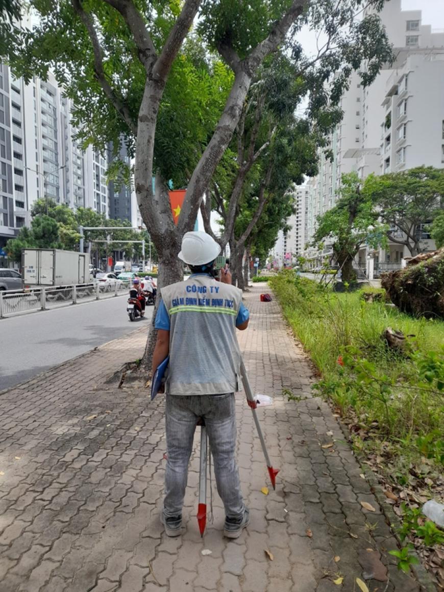 Quy định về quan trắc và trắc đạt công trình xây dựng thế nào?